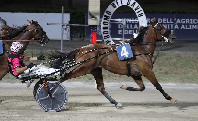 Ippica, Ippodromo di Cesena: resoconto delle corse di martedì 25 agosto