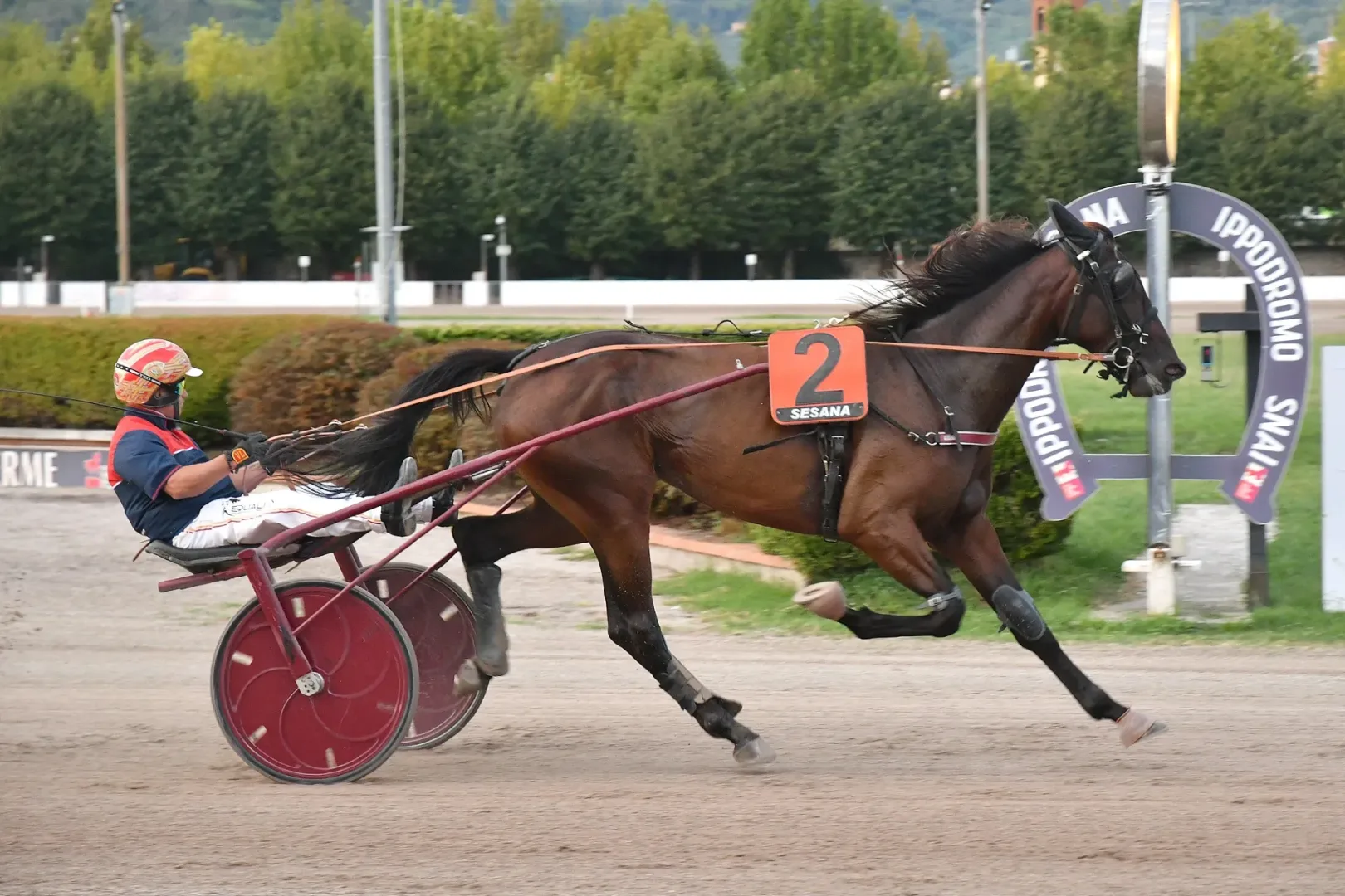 Ippica, mercoledì di trotto all’Ippodromo Snai Sesana: Ilex de Buty vince la TQQ intitolata ad Alessandro Rosaspina
