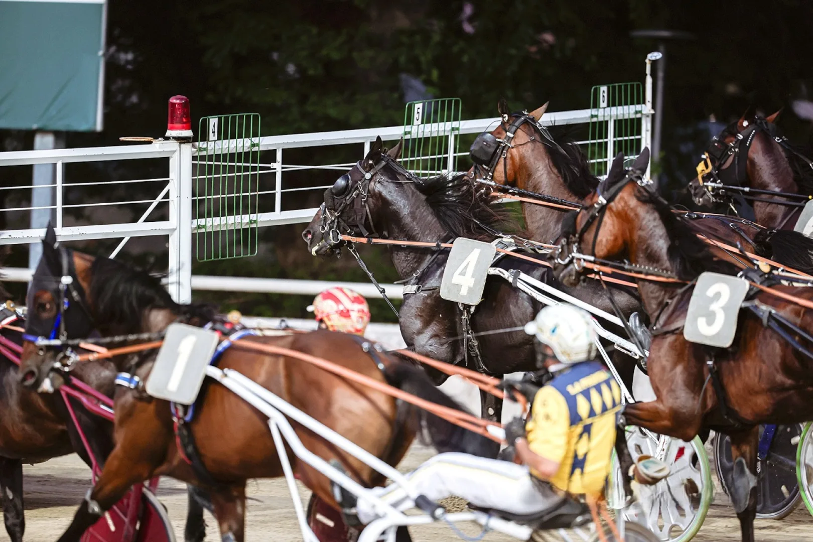 Ippica, Ippodromo di Cesena: sabato 29 agosto, clou per tre anni con La Commerciale Agricola. Le sette corse iniziano alle 20:45