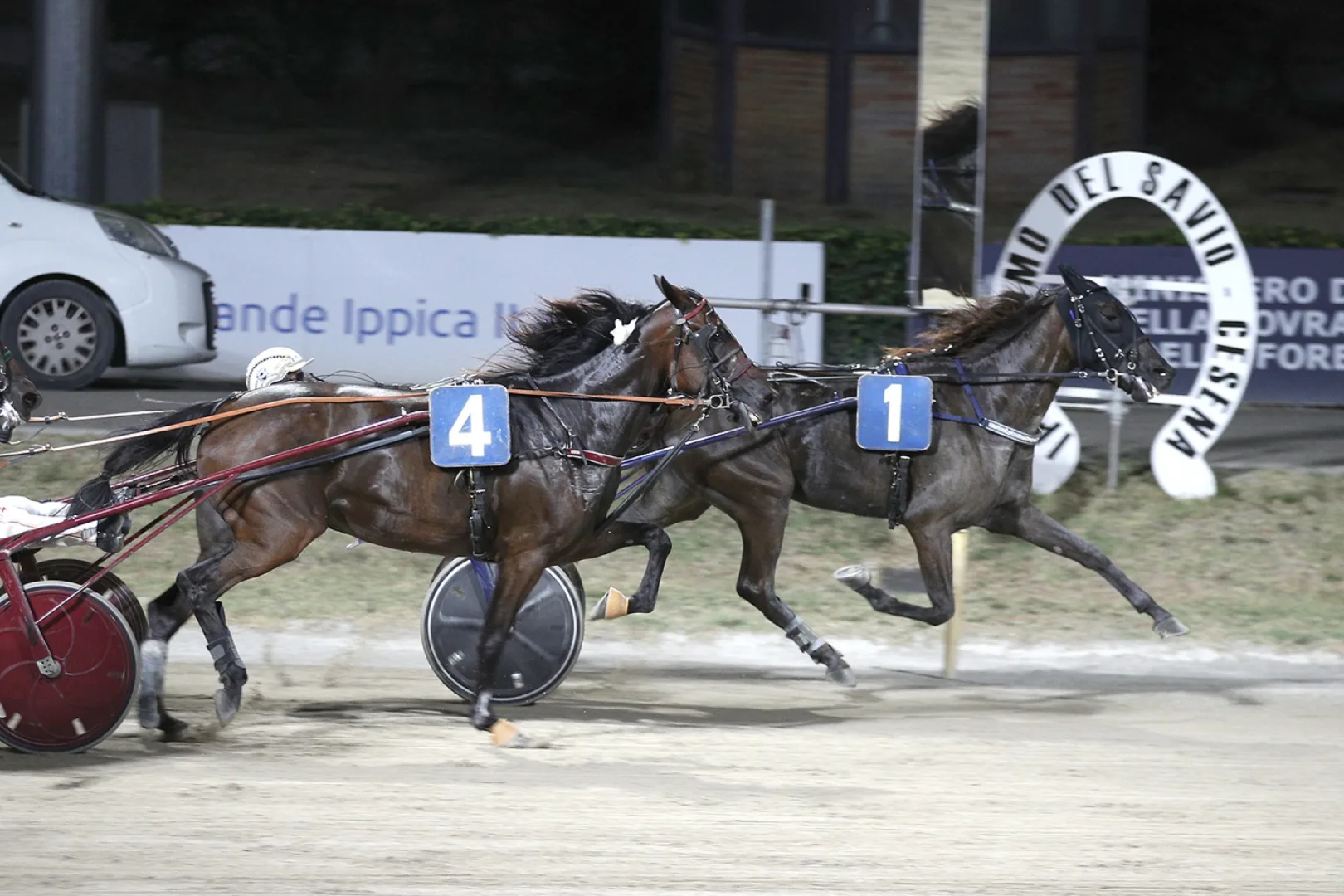 Ippica, Ippodromo Cesena: Giunone Amg vince il Premio Confagricoltura Ravenna