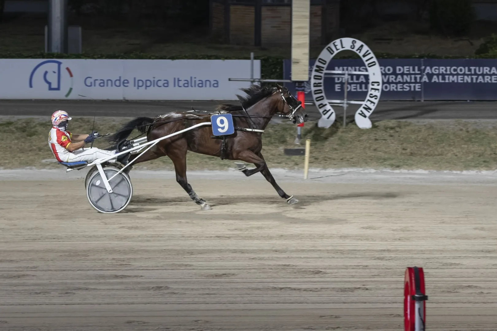 Ippica, Ippodromo di Cesena: resoconto delle corse di sabato 29 agosto 2026