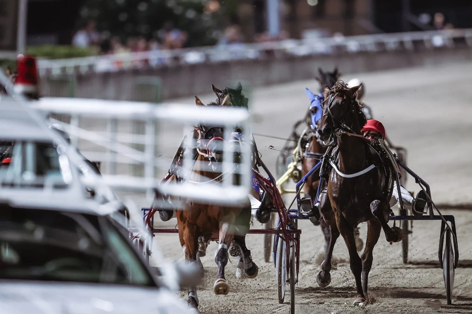 Ippica, Ippodromo di Cesena: 1° settembre con sette corse, clou abbinato al Carnevale di Gambettola
